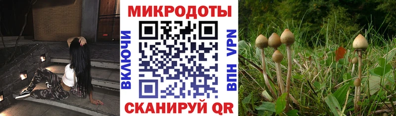 Псилоцибиновые грибы мухоморы  как найти закладки  Томск 