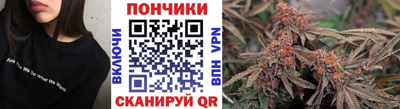 Бошки Шишки семена  Томск 